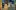 swiss-miles-and-more-seattle-teaser1