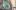 swiss-miles-and-more-prague-teaser2