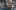 swiss-miles-and-more-japan-teaser2