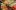 swiss-miles-and-more-seattle-teaser4