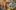 swiss-miles-and-more-seattle-teaser3